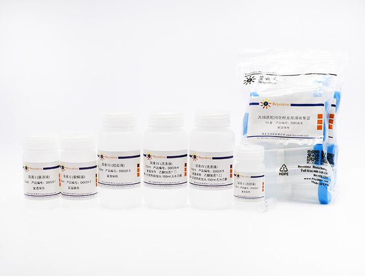 质粒大量抽提试剂盒(通用型)